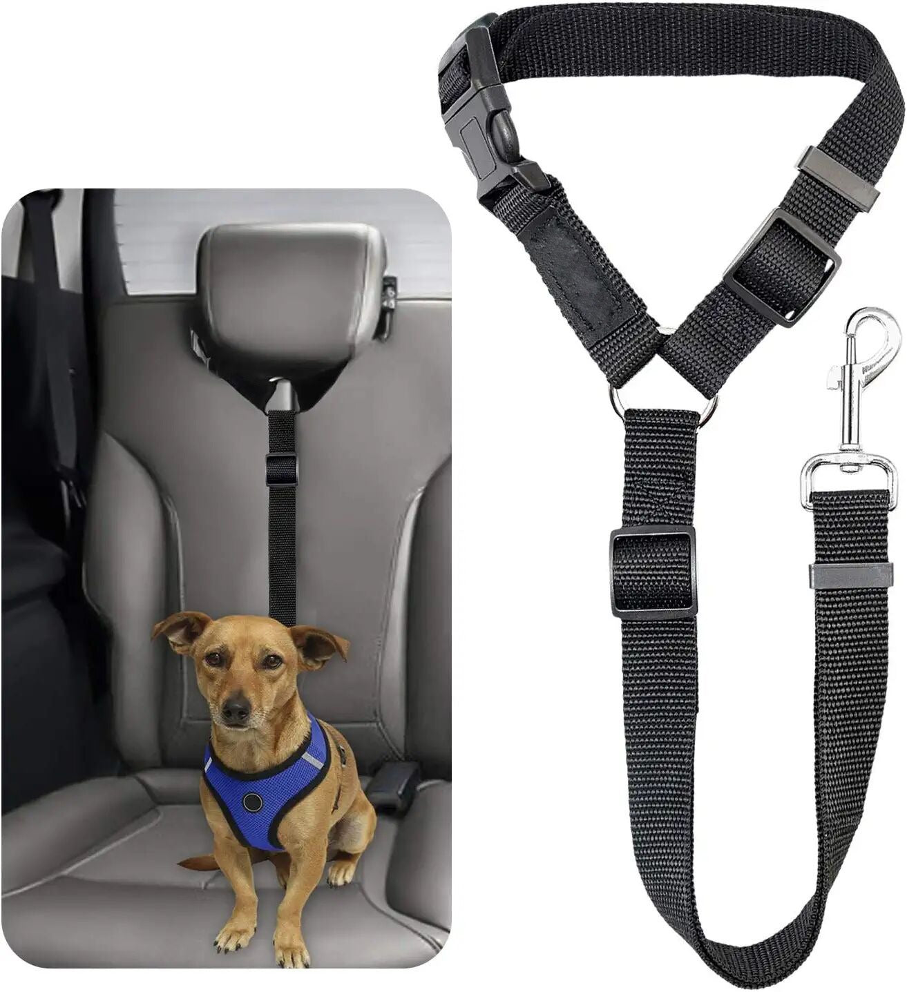 Ceinture de sécurité pour chien, corde de véhicule de voyage pour chiens de grande et moyenne taille, boucle de sécurité pour voiture, corde fixe 