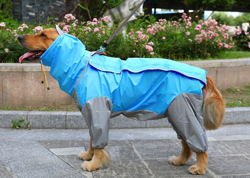 Raincoat for dogs