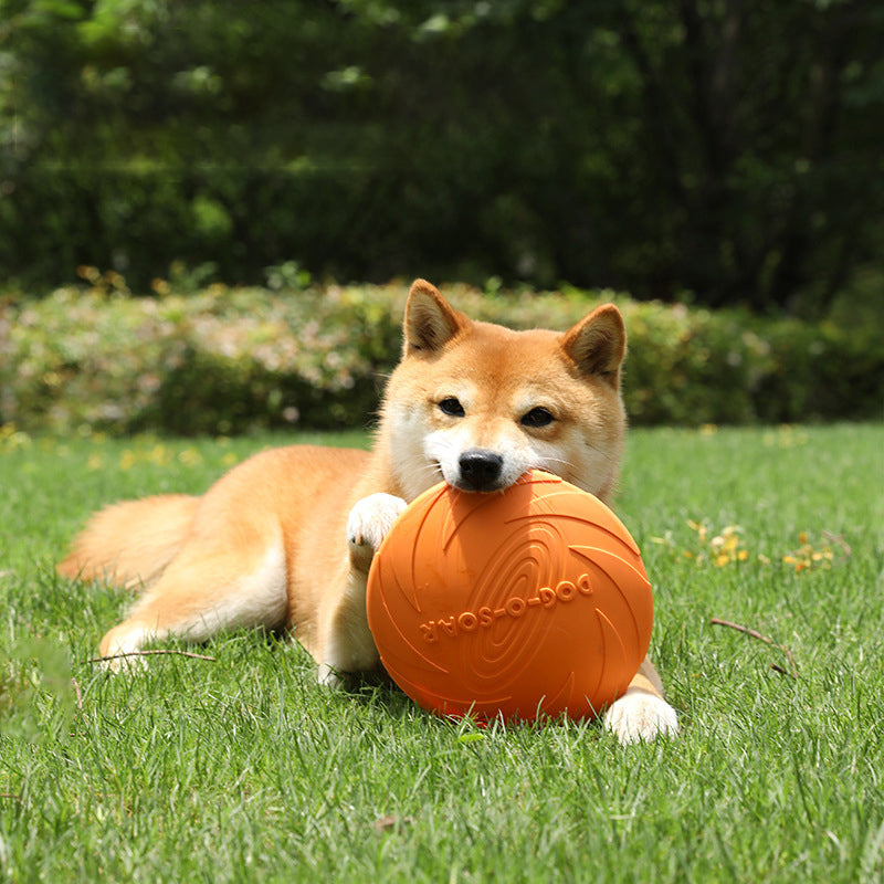 Nuevo Frisbee de perros resistente outdoor