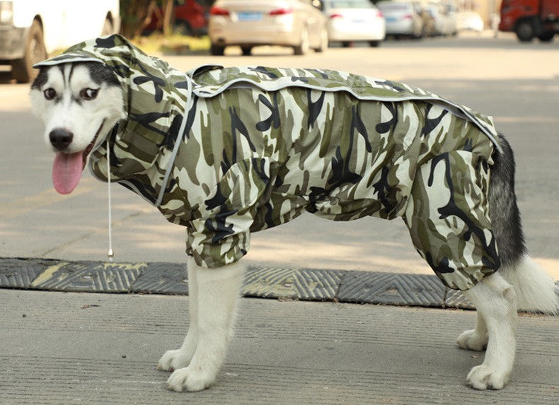 Raincoat for dogs