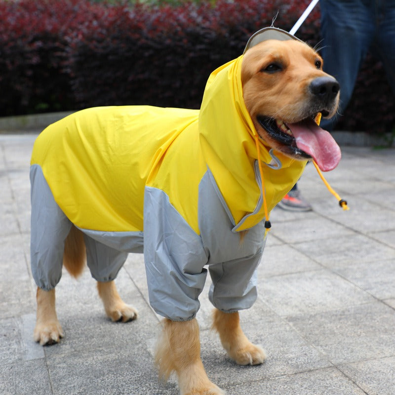 Raincoat for dogs