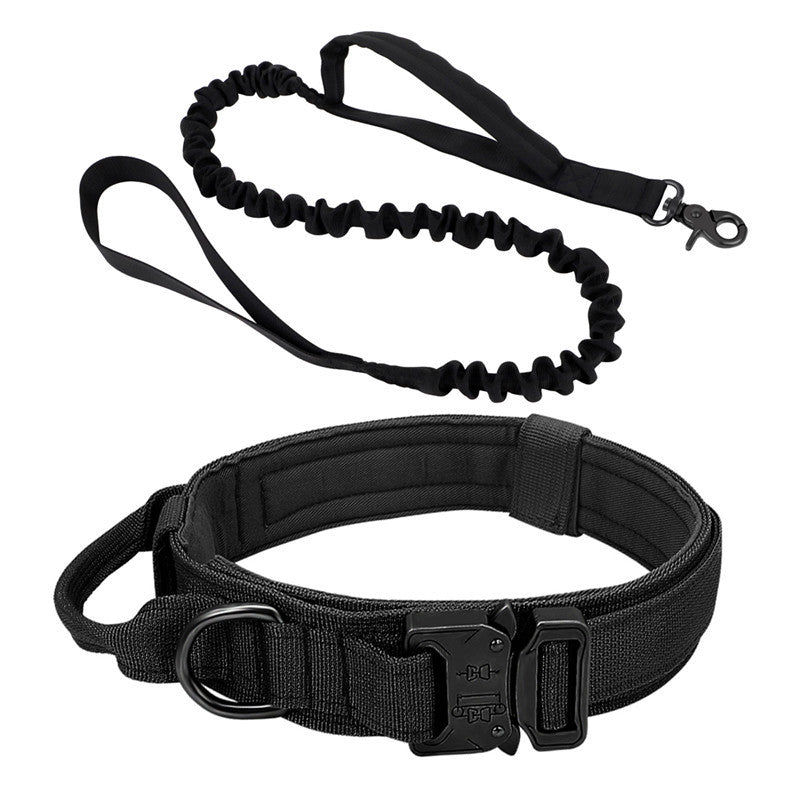 Nylon dog collar for medium and large dogs