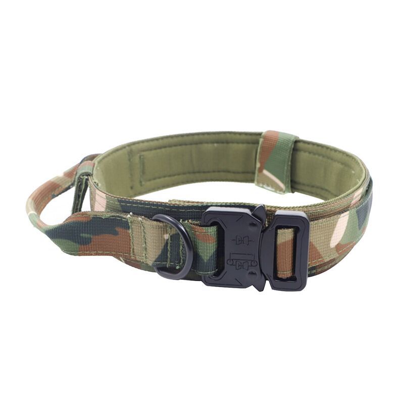 Nylon dog collar for medium and large dogs