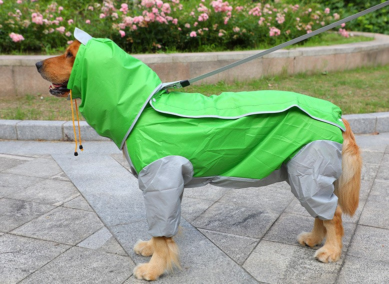 Raincoat for dogs