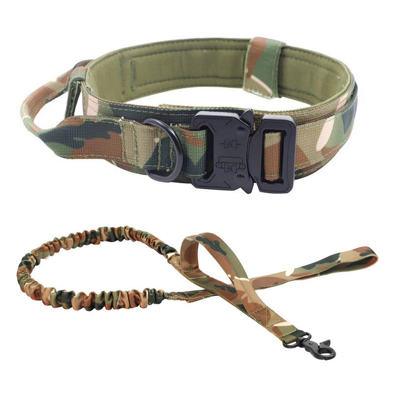 Nylon dog collar for medium and large dogs