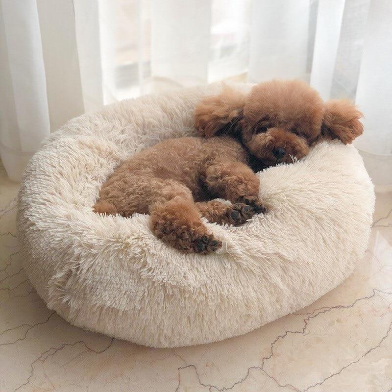 Bed for small and medium dogs