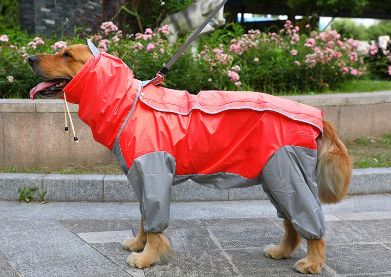 Raincoat for dogs