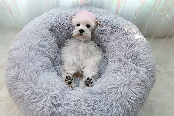 Bed for small and medium dogs