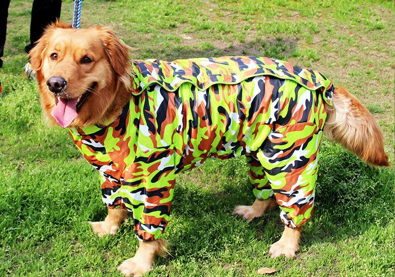 Raincoat for dogs