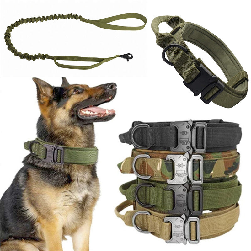 Nylon dog collar for medium and large dogs