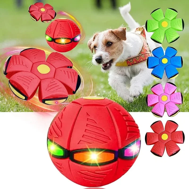 Jouets pour chiens Balle avec lumières - Jouets interactifs