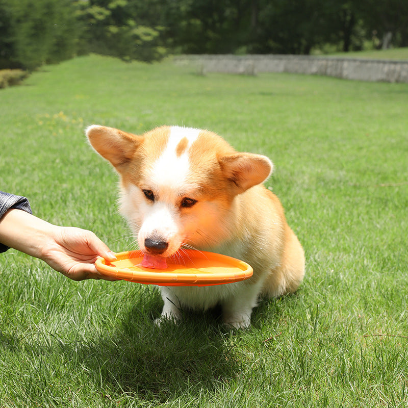 Nuevo Frisbee de perros resistente outdoor