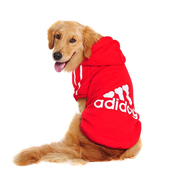 Jersey para perros medianos y grandes