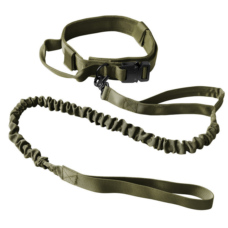 Nylon dog collar for medium and large dogs